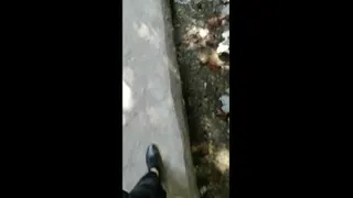 ز مژگان سیاه تو