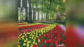 اطلاعاتی