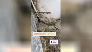 نشت یابی داودی در استان خوزستان