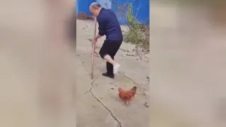 خیلی جالب و خنده دار، خروسی که مثل مرد لَنگ راه میره