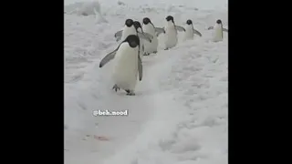 من الکلو جا نگذاشتم من..