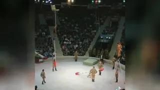 محاسباتشون خیلی دقیق بود😨