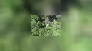 تلاوت زیبای مهدی غلام نژاد