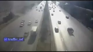فوت یک نفر به خاطر یک سگ