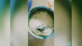 کیک اسفناج