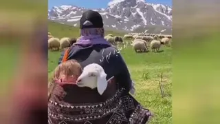 صبوری باصدای استاد شجریان