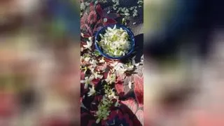 بهار و بهار نارنج