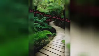 💎💎💎نگین 💎💎💎