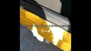 بلند پروازی