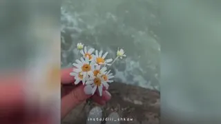 هر بژی کوردستان