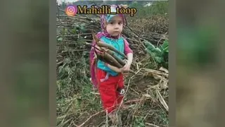 *بدون شرح*