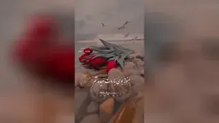 موسیقی