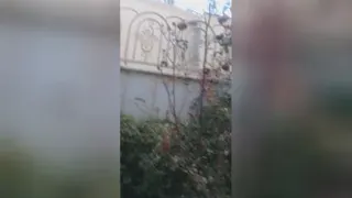 باز باران باترانه😍😍