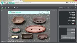 مقدمه وبینار آنلاین آموزش بونسای- علیرضا خورشیدی
