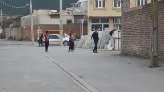 اسکل ها