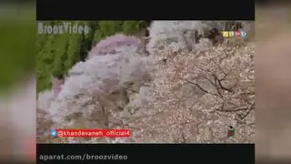 دانلود موزیک ویدئوی زیبای ای زمین سبحان سیفی
