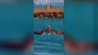 تمرکز