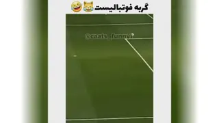 گربه فوتبالیست 😍😄