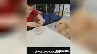 عزیزآقا اراکی 😂😂😂