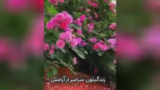 باغ گل