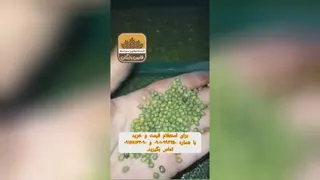 برای خرید و اطلاعات بیشتر با شماره های 09010993250 و 09168164090 تماس حاصل فرمایید.