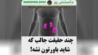 دانستنی