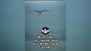مردانگی