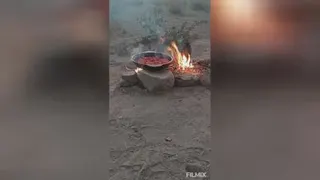 طبیعت گردی