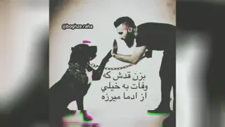 وفادار باشیم