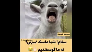 ماگوسفندیم !!!!