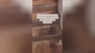 ویدویی جدید از لحظه وحشتناک وقوع زلزله در مراکش