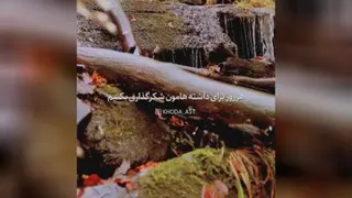 خدا رو اشتباه شناختیم