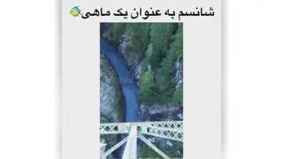 لطفاً عضو کانالمون بشین