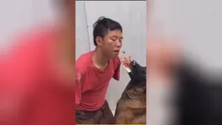 سبحان الله