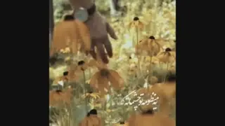 دلبر ناب دلم