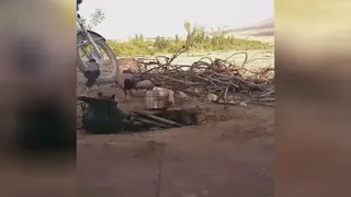 هوشیاری موجودات خلقت