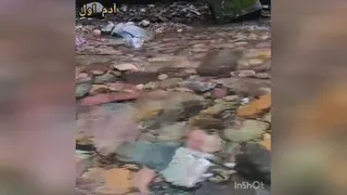 #کشتزار