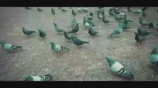 مذهبی