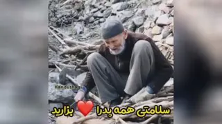 سلامتی همه پدرا