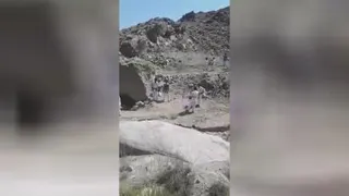 اردو