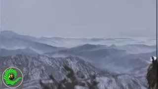 ببر قاتل