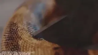 داستان پند آموز، مهارت زندگی