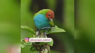 ظلم نکن تا ظلم نبینی