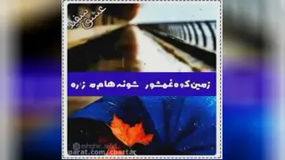 ویدیو کلیپ