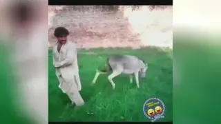 خنده دار