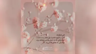 📹 زمانه لیاقت ندارد، تو چرا باید محروم باشی؟! ╝