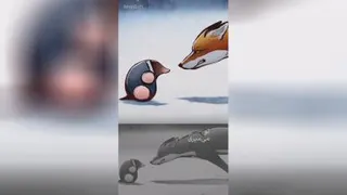 کارتون و انمیشین...