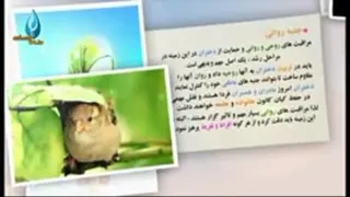 دخترانه