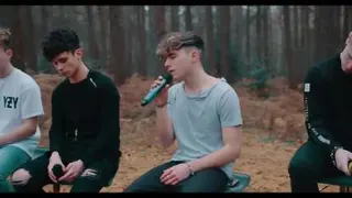Selena gomez wolves boys version