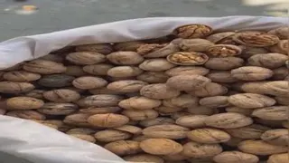 فروش گردو و بادام به صورت عمده و خرده